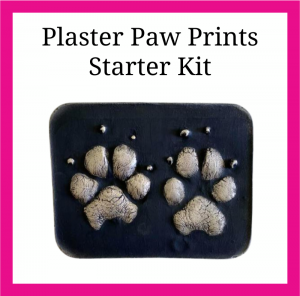 Plaster Paw Prints Kit